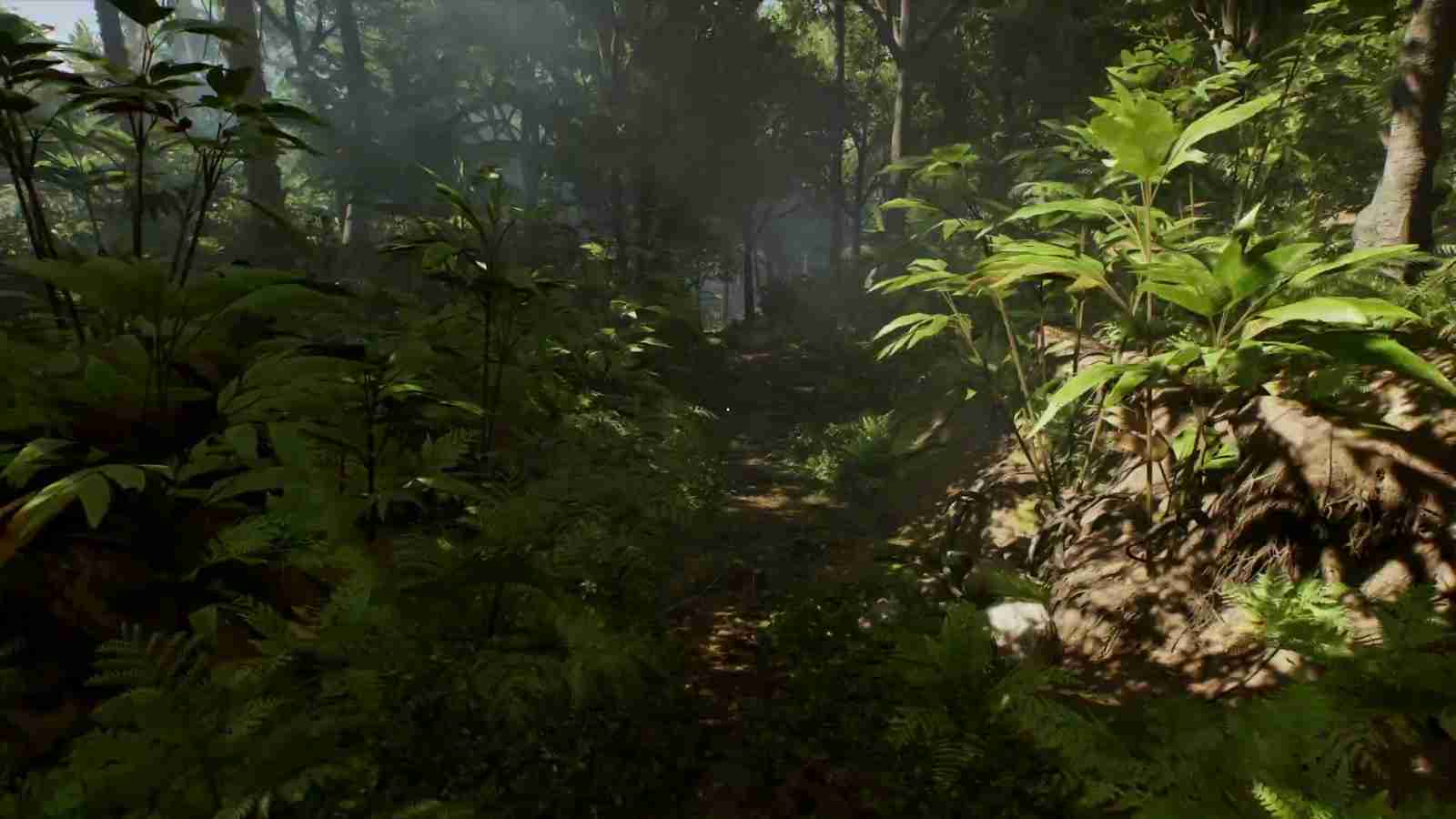 RTX 4090最高画质 《夺宝奇兵》PC版头16分钟