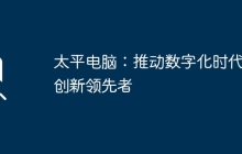太平电脑:推动数字化时代的创新领先者