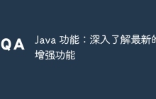Java 功能：深入了解最新的增强功能