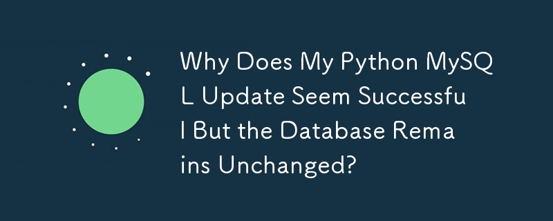 Warum scheint mein Python-MySQL-Update erfolgreich zu sein, die Datenbank bleibt jedoch unverändert?