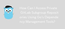 How Can I Access Private GitLab Subgroup Repositories Using Go's Dependency Management Tools?