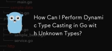 How Can I Perform Dynamic Type Casting in Go with Unknown Types?
