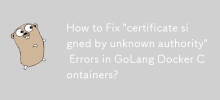 How to Fix 'certificate signed by unknown authority' Errors in GoLang Docker Containers?