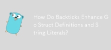 How Do Backticks Enhance Go Struct Definitions and String Literals?