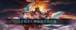 《三国杀》神陆逊技能介绍