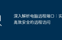 深入解析电脑远程端口：实现高效安全的远程访问