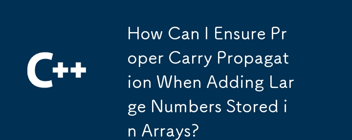 配列に格納された大きな数値を加算するときに適切な桁上げ伝播を保証するにはどうすればよいですか?