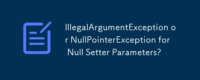 Null Setter 参数的 IllegalArgumentException 或 NullPointerException？