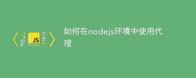 如何在nodejs环境中使用代理