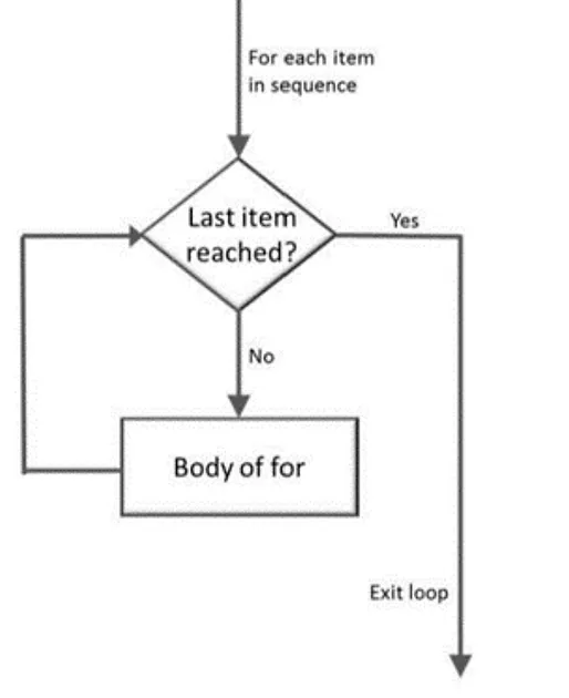 Basic Loops in Python