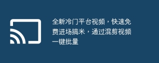 全新冷门平台视频，快速免费进场搞米，通过混剪视频一键批量