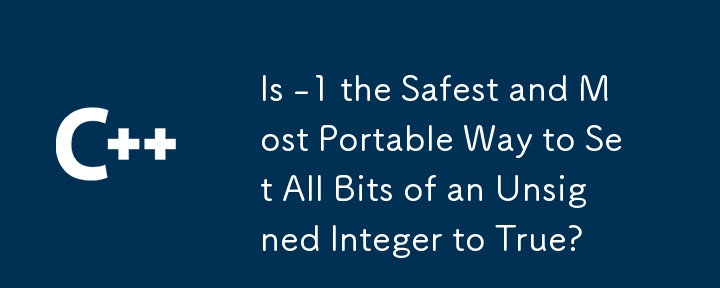 -1 是将无符号整数的所有位设置为 True 的最安全且最便携的方法吗？