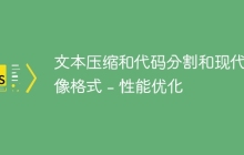 文本压缩和代码分割和现代图像格式 - 性能优化