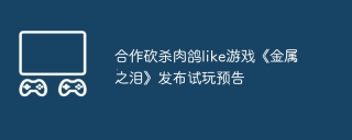 合作砍杀肉鸽like游戏《金属之泪》发布试玩预告