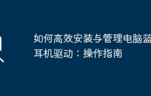 如何高效安装与管理电脑蓝牙耳机驱动：操作指南
