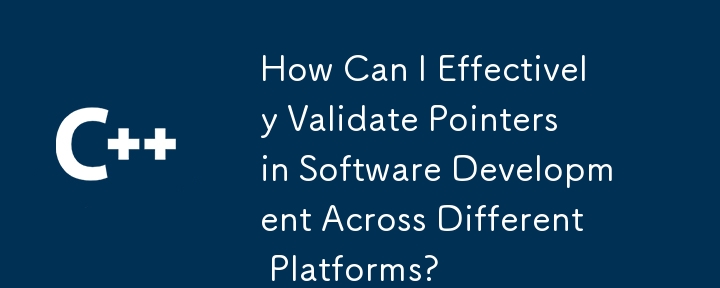 異なるプラットフォーム間でのソフトウェア開発におけるポインタを効果的に検証するにはどうすればよいですか?
