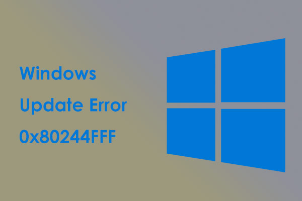 Windows Update エラー 0x80244FFF Win11/10 の対象となる修正