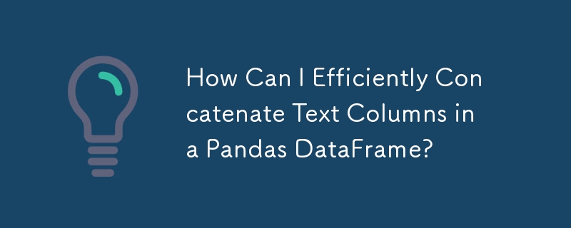 如何有效地連接 Pandas DataFrame 中的文字列？