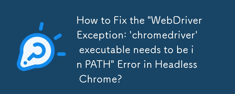 如何修复 Headless Chrome 中的'WebDriverException：'chromedriver'可执行文件需要位于 PATH 中”错误？