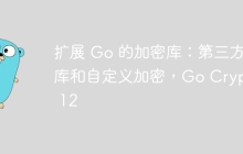 扩展 Go 的加密库：第三方库和自定义加密，Go Crypto 12