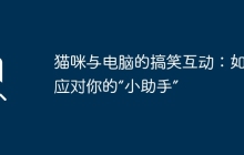 猫咪与电脑的搞笑互动：如何应对你的“小助手”