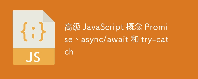 高级 javascript 概念 promise、async/await 和 try-catch