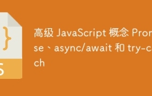 高级 JavaScript 概念 Promise、async/await 和 try-catch