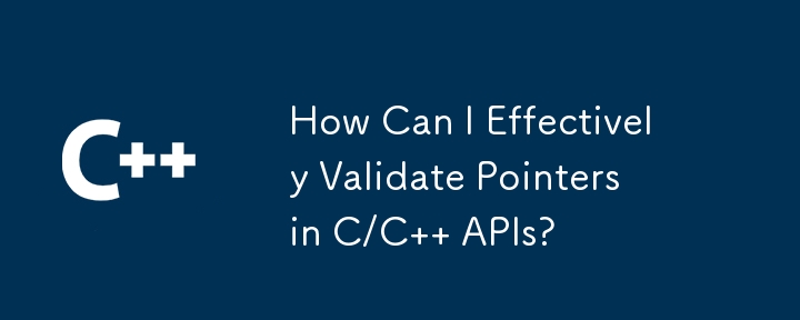 C/C API でポインターを効果的に検証するにはどうすればよいですか?