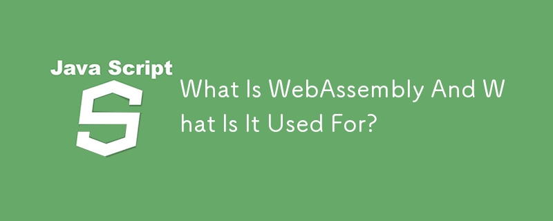 What Is WebAssembly And What Is It Used For?