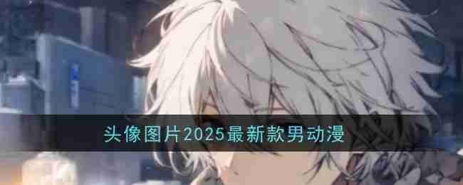头像图片2025最新款男动漫