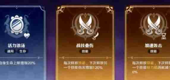 《航海王壮志雄心》格斗宗师爆发流玩法一览