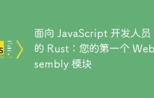 面向 JavaScript 开发人员的 Rust：您的第一个 WebAssembly 模块