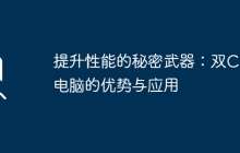 提升性能的秘密武器：双CPU电脑的优势与应用
