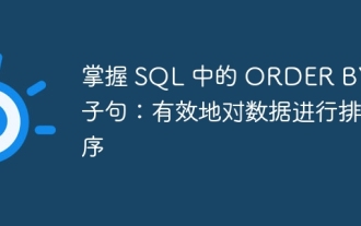 SQLで条項ごとに注文をマスターする:効果的にデータを並べ替える
