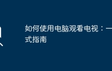 如何使用电脑观看电视：一站式指南