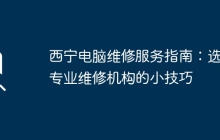 西宁电脑维修服务指南：选择专业维修机构的小技巧