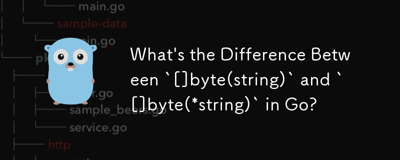 Go 中的 `[]byte(string)` 和 `[]byte(*string)` 有什麼不同？