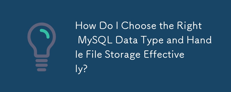 如何选择正确的 MySQL 数据类型并有效处理文件存储？