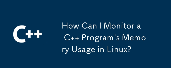 Wie kann ich die Speichernutzung eines C-Programms unter Linux überwachen?