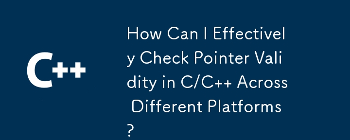 異なるプラットフォーム間で C/C のポインタの有効性を効果的にチェックするにはどうすればよいですか?