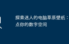 探索迷人的电脑草原壁纸：装点你的数字空间