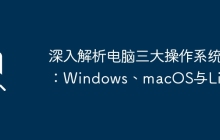 深入解析电脑三大操作系统：Windows、macOS与Linux