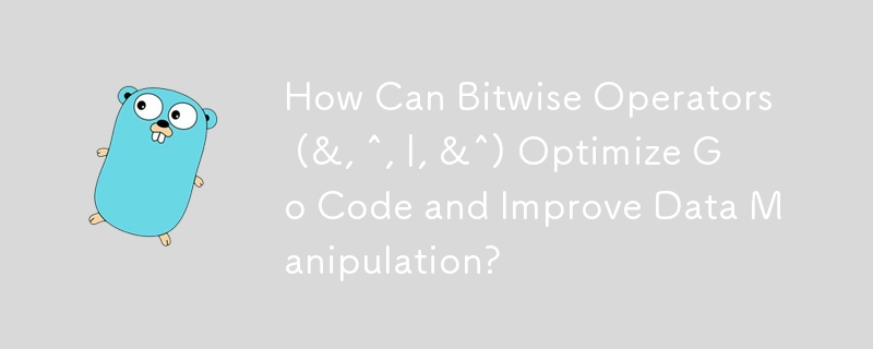 Wie können bitweise Operatoren (&, ^, |, &^) Go-Code optimieren und die Datenmanipulation verbessern?