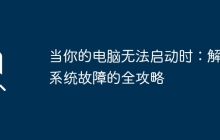 当你的电脑无法启动时：解决系统故障的全攻略