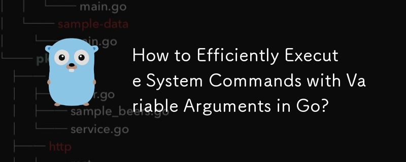 Go中如何有效率地執行帶有可變參數的系統指令？