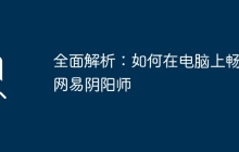 全面解析：如何在电脑上畅玩网易阴阳师