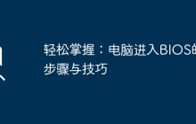 轻松掌握：电脑进入BIOS的步骤与技巧