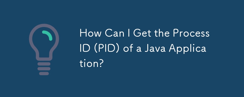 Java 애플리케이션의 프로세스 ID(PID)를 어떻게 얻을 수 있습니까?