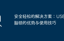 安全轻松的解决方案：USB电脑锁的优势与使用技巧