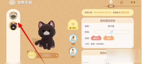 心动小镇如何弃养猫咪  心动小镇更换猫咪方法